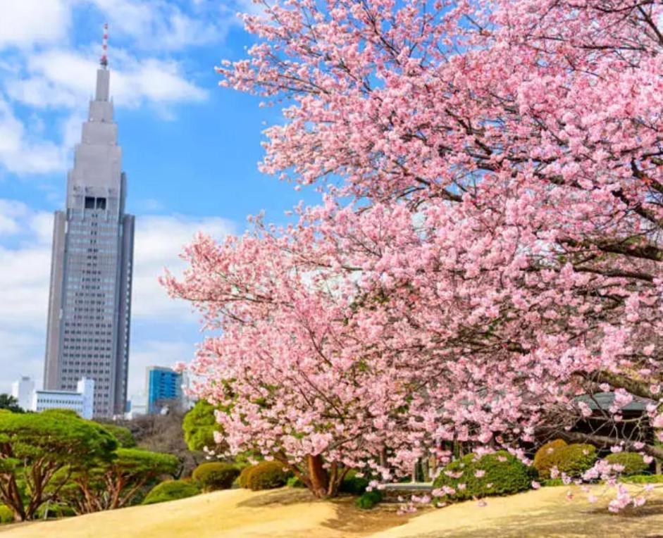 Appartement 62新宿商圈 新宿御苑1分-shinjuku Area Japanese Style Max 5p Tōkyō